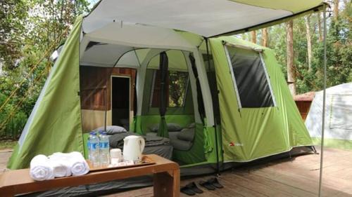 Sarangan Resort | Lawu Forest Camp