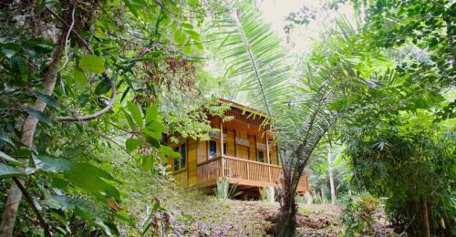Bangka Island Resort | Nomad Divers Bangka