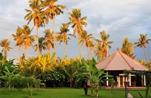 Pemuteran Resort | Bali Oase Resort
