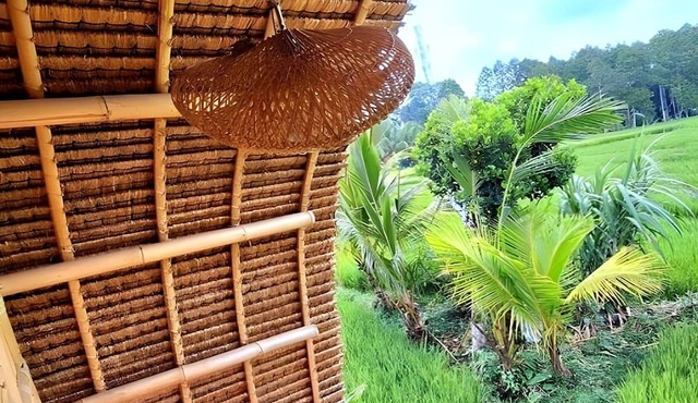 Tiny ECO Bamboo Ubud