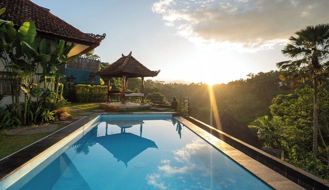 Jungle valley 3 bedroom Private pool