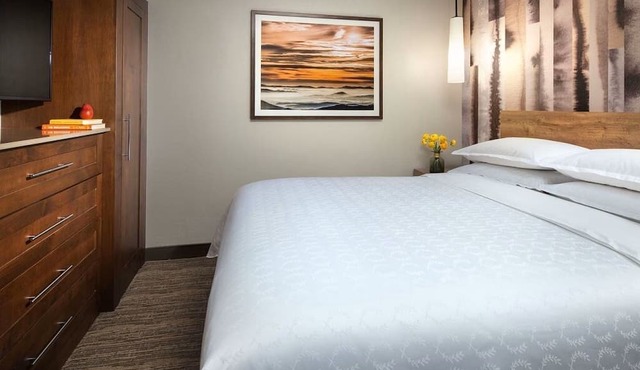 Amid the invigorating outdoor adventures of Colorado’s famed Steamboat Springs in Steamboat Springs