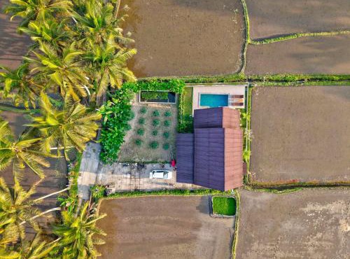 Nandikara Villa in Payangan