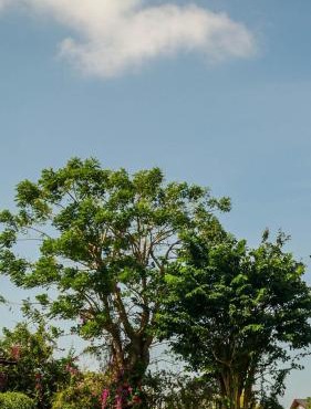 Bumi Ola Villa Pandawa