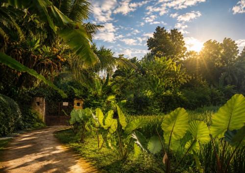 Jungle Hideaway Villas 4 - River Cafe