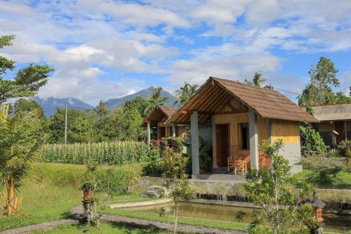 Bee Camp Bedugul by AGATA