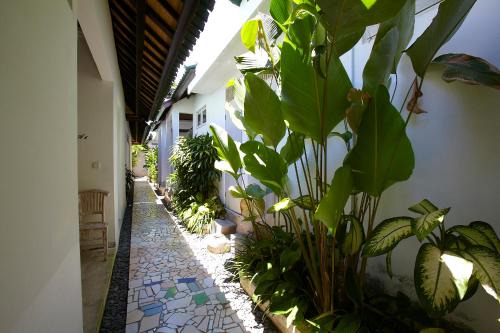 Artemis Villa Hotel