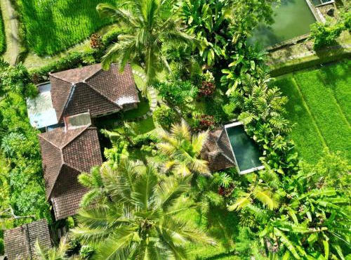 Dewa Jati Cottages